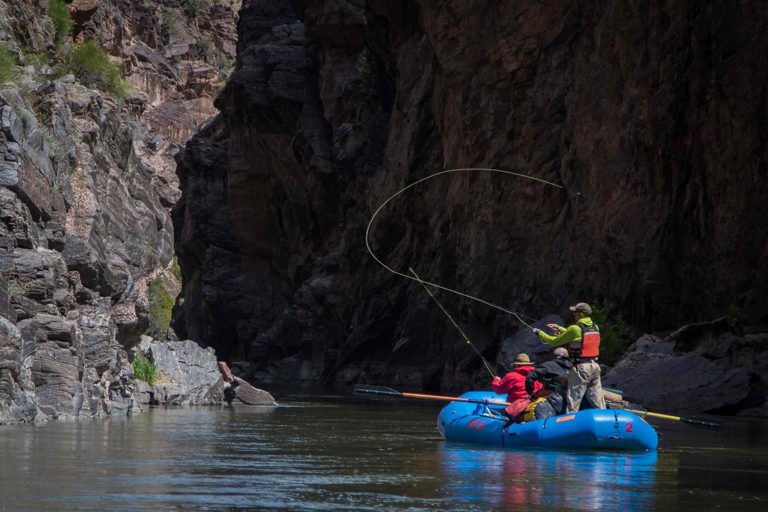 Black Canyon Anglers